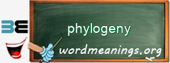 WordMeaning blackboard for phylogeny